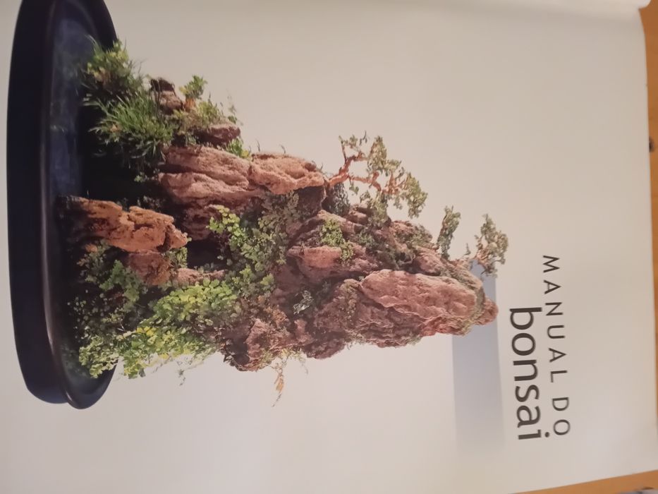Livros usados sobre bonsais