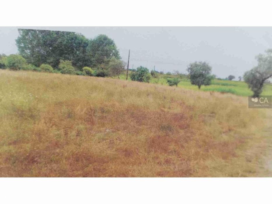 Terreno Rustico - Vale Saramago - Seixo