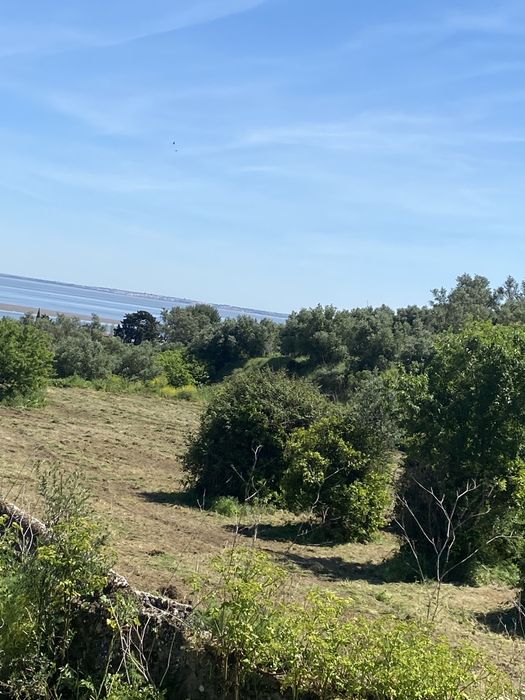 Servicos de mini giratória, limpeza de terrenos.