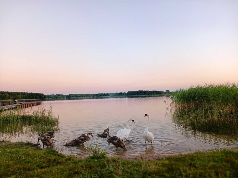 Domek nad jeziorem Krasne - Wynajem