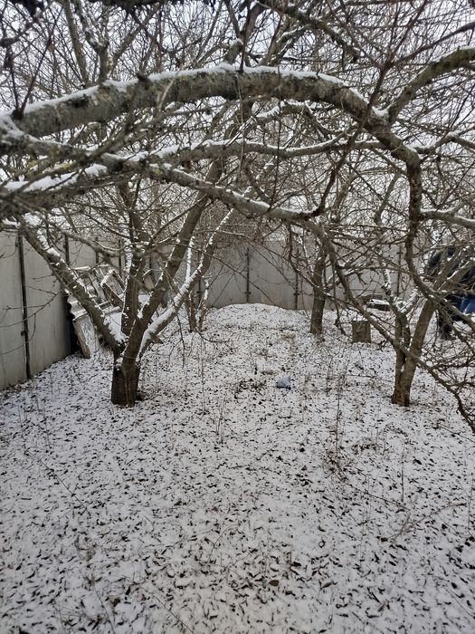 Цегляний будинок Вільна  Терешківка