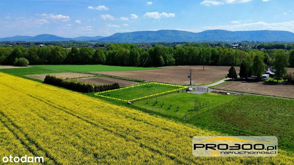 Działka z potencjałem – Pisarzowice | 966 m2