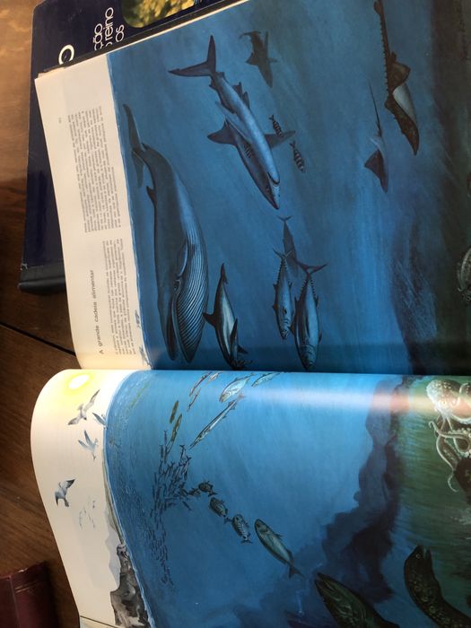 Grandes livros dos oceanos