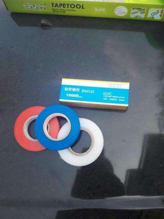 Agrafador ramos árvores de fruto