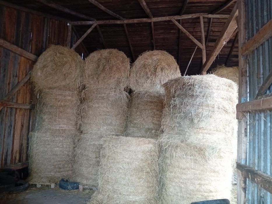 Sprzedam siano.i sianokiszonkę