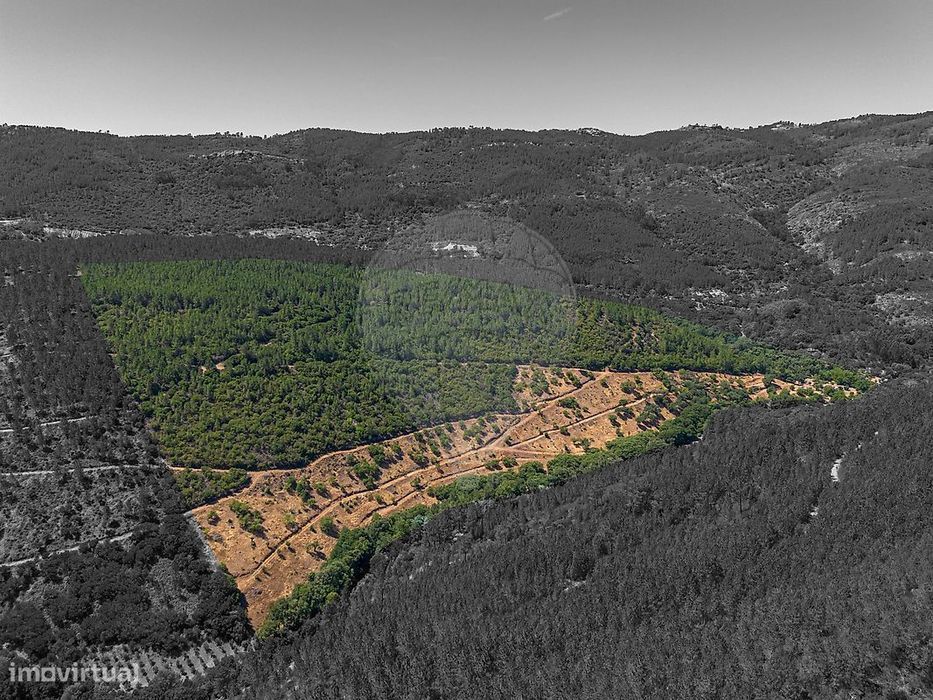 Terreno  para venda