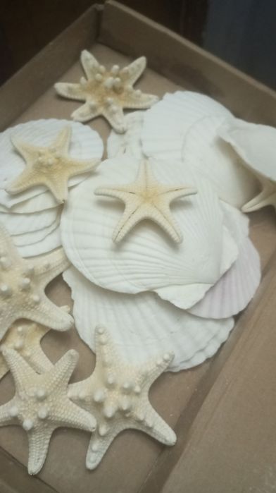 Estrelas e conchas artesanais