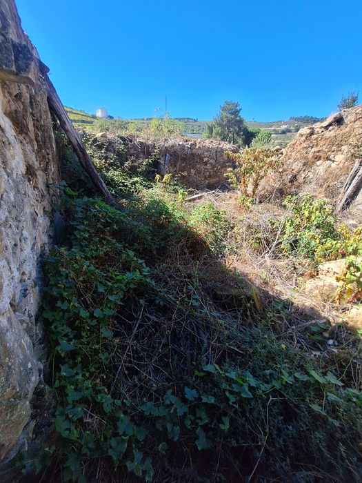 Casa de ruina con terreno