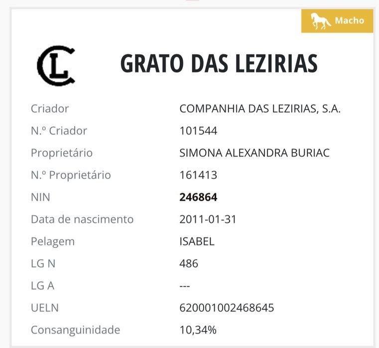 Cavalo letra G inteiro manso