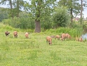 Nocleg  agroturystyka,  kulig CENY ZIMOWE