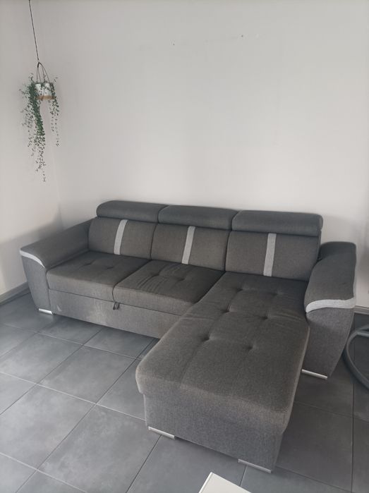 Naroznik-Rogówka szara