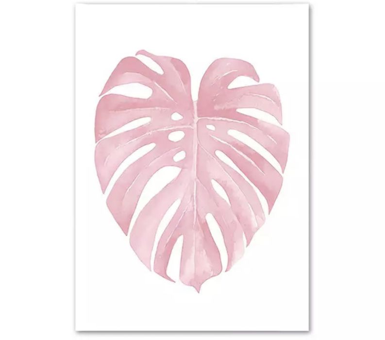 Plakat 40x50 różowa monstera