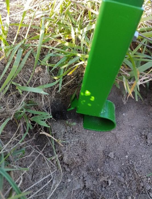 Aplikator trutki na myszy