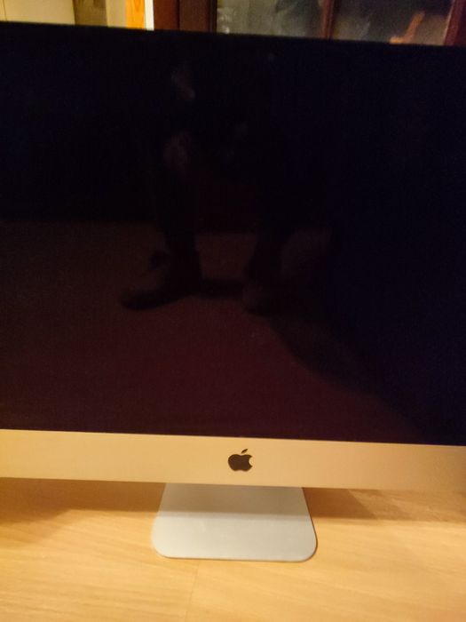 iMac 21.5 polegadas (2013) A1418