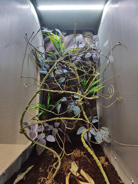 Terrarium dla kameleona 100x50x50 nowe WOŁOMIN