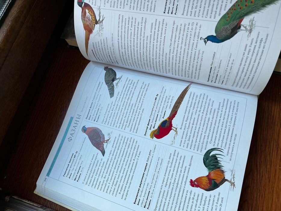 різні книжки, гарри поттер, енциклопедія