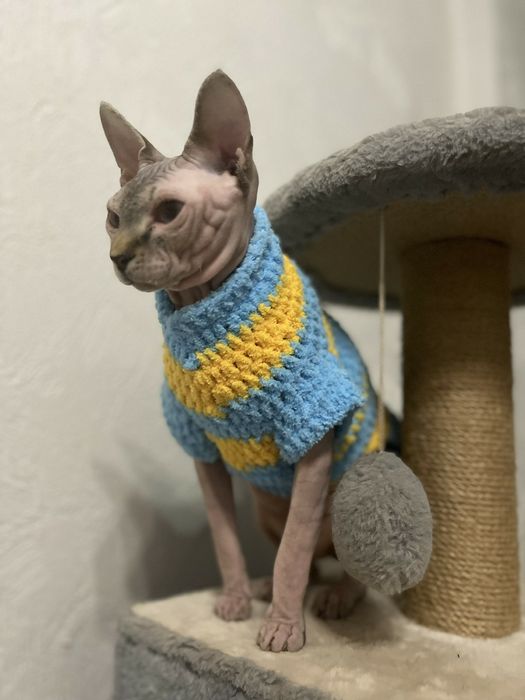 Одежда на собак, котов, сфинксов