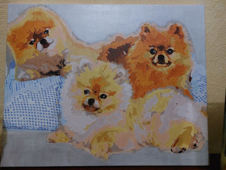 Шпицы -  готовая картина по номерам