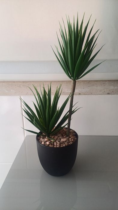 Vaso ikea + planta  (novo)