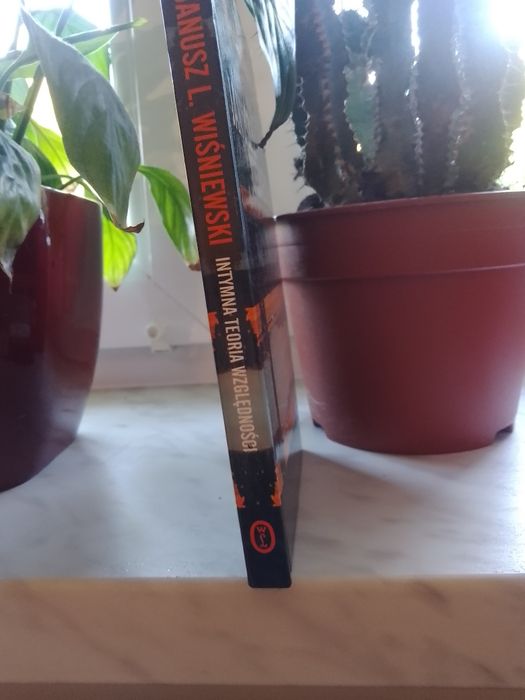 Książka Intymna teoria względności