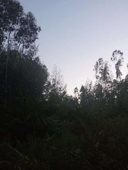 Terreno rústico  com 1071 m2
