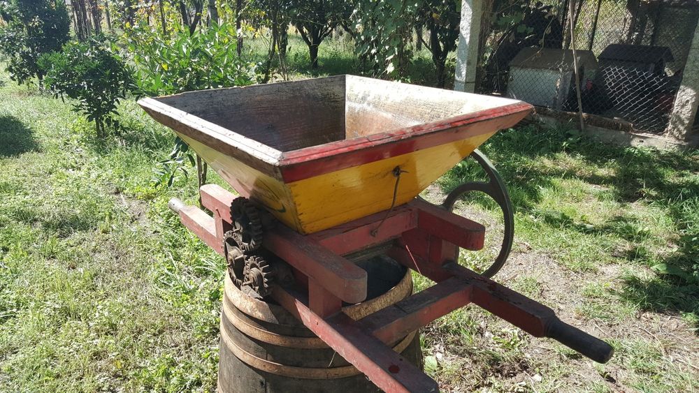 Ralador eléctrico para uvas