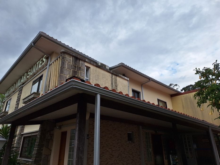 Assador de porco no espeto