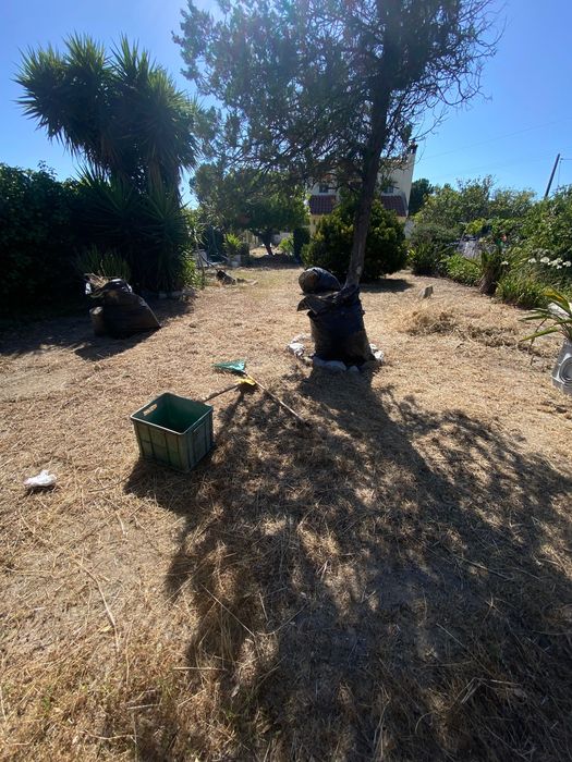 Fsa jardimConstrucao de jardim relva sintetico e manutencao de jardim