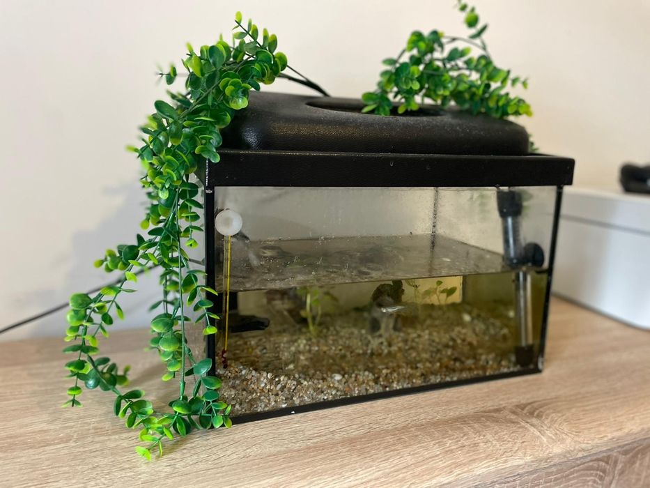 Akwarium 25l zestaw