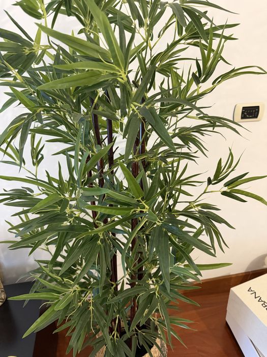 Planta artificial - gato preto 30€