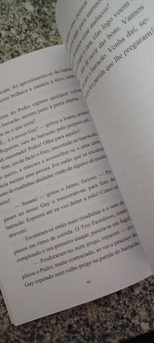 2 livros do Inspetor Max novos