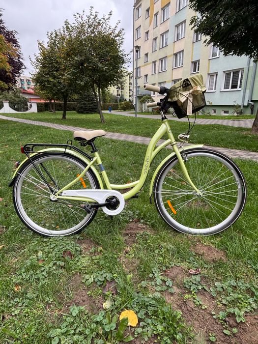 Rower miejski Dutch Goose 28"