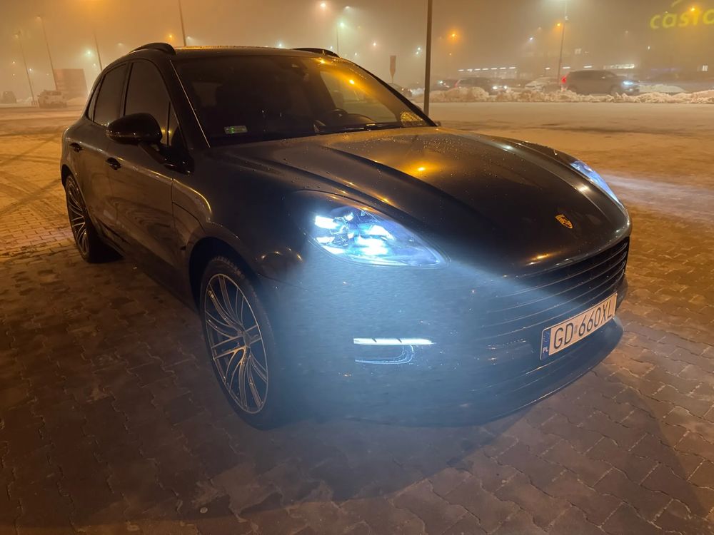 Macan