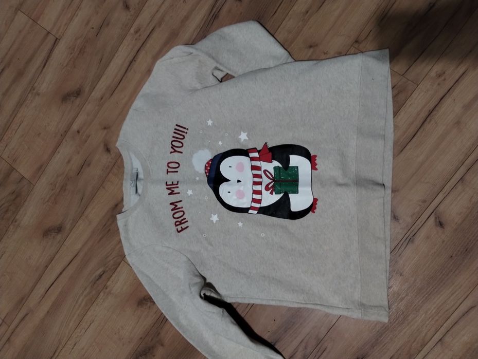 Bluza z pongwinem