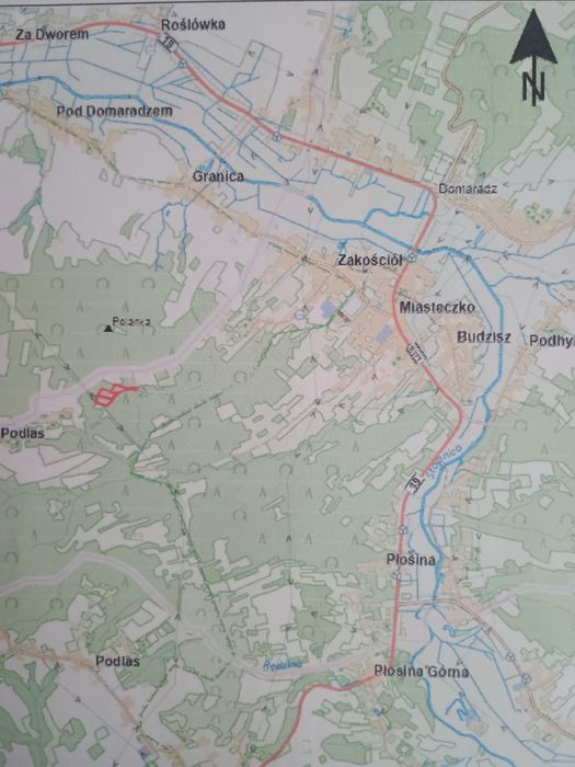 Sprzedam las w Domaradzu