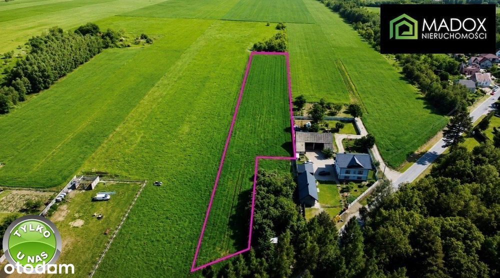 Działka 6914 m² | Pierzchno | Mpzp