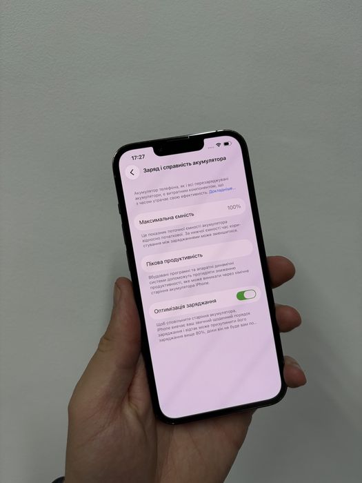 iPhone 13 Pro 256Gb 100%