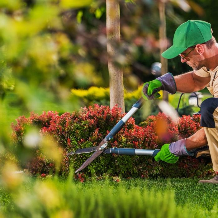 Paisagismo e jardinagem em Margem sul , Pinhal Novo, Setúbal, Palmela