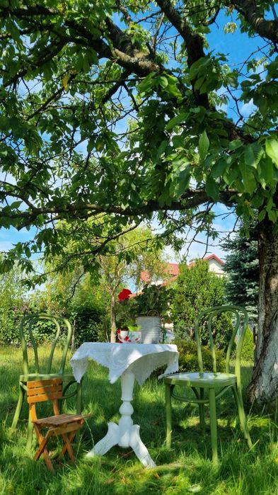 Domek letniskowy, całoroczny. Czereśniowy domek w Borach Tucholskich.