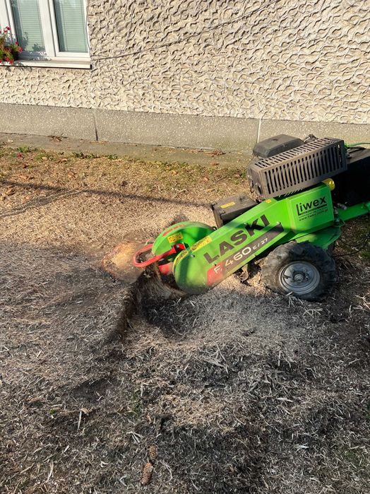 Usuwanie pniaków, frezowanie pni drzew Piotrków Trybunalski