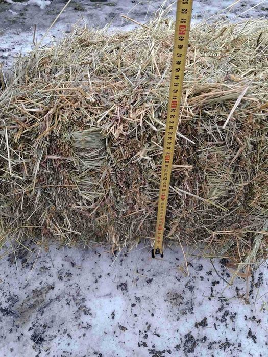 Сіно у тюках 2025 року