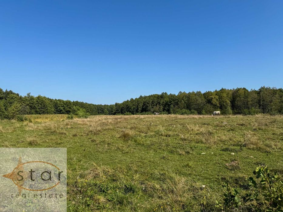 Продаж землі у Седневі  2,15 га поруч з Кротовим озером та р. Снов