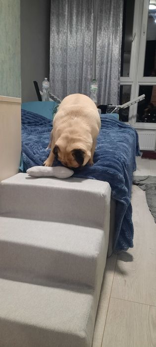 Драбина для собак/ сходинки для собак