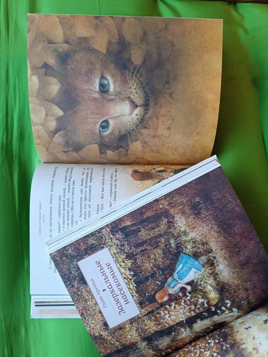 Детские книги с  иллюстрациями Ингпена