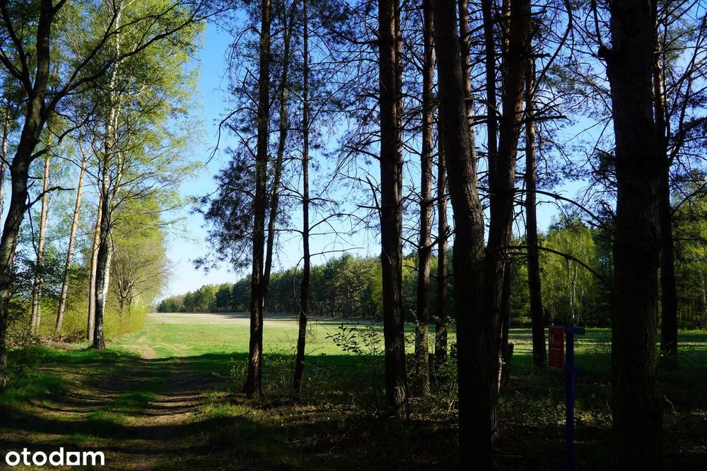 Dzialki budowlane Lipinki/Suchleb