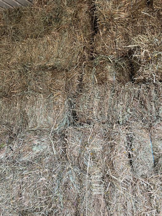 Fardos de palha 2024