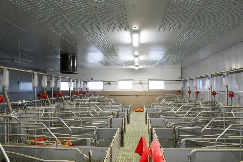 Sufit Wentylacyjny Perforowany Panele Izolacyjne Styrodur XPS AGRO 40