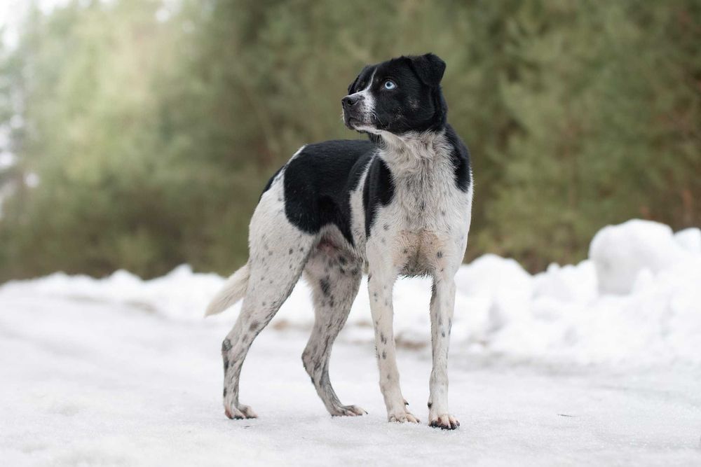 Ksawerio: energiczny, otwarty, entuzjastyczny