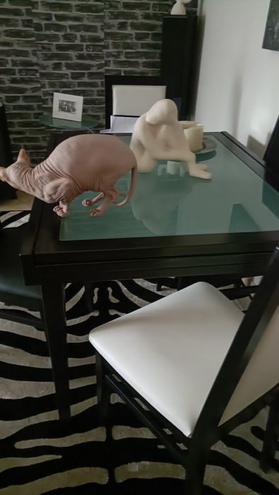 Mesa de vidro extensível 4 cadeiras