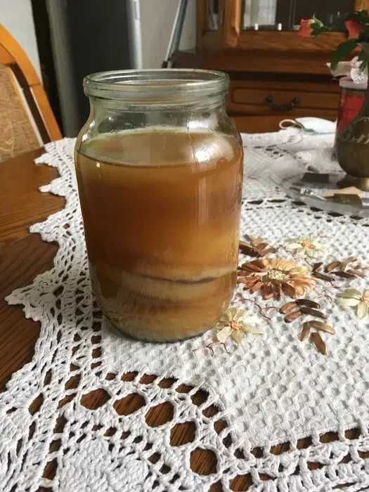 Zdrowy grzybek herbaciany kombucha
